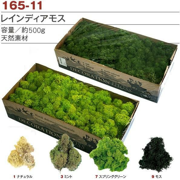 苔、ポールモス バルク 約2500g お徳用500g レインディアモス 苔、ポールモス バルク 約2500g お徳用500g レインディアモス