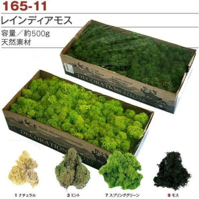 ハーバリウム　2本セット   ④ ハーバリウム | 手芸材料のネットショップ つくる楽しみ．com