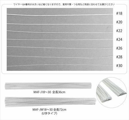 000000032257-03-l.jpg?t=