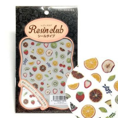UVレジン用シールパーツ レジンクラブ ドライフルーツ(両面) アクセサリー デコ素材| つくる楽しみ