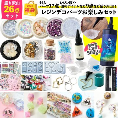 2024 福袋 正月 お楽しみ 大容量 レジンデコパーツお楽しみセット パウダー コーティング 封入パーツ レジン