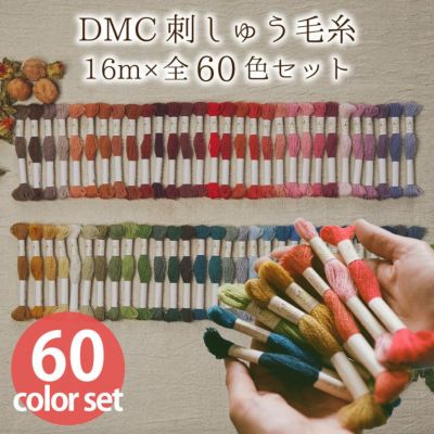 手芸家洋輔POPUP 刺繍糸 刺しゅう糸 DMC刺しゅう 毛糸 ECOVITA -エコヴィータ- ウールスレッド 1カセ16m×全60色セット 大容量 刺しゅう糸セット 秋カラー刺しゅう糸 オータム