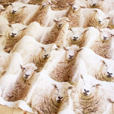 生地 輸入生地 羊の群れオックス生地デジタルプリントオランダ輸入140cm巾(最低単位30cm~10cm単位の切り売り)