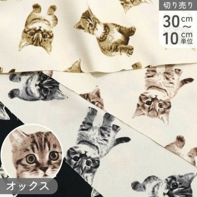 生地 オックス生地 オックス 巾約110cm ねこ ネコ 動物 大柄 (最低単位30cm～10cm単位の切売り)