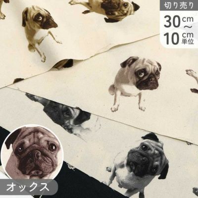 生地 オックス生地 オックス 巾約110cm いぬ パグ 動物 大柄 (最低単位30cm～10cm単位の切売り)